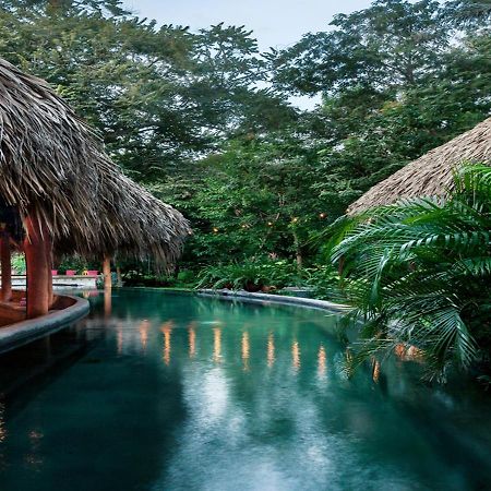 The Space Jungle Oasis San Juan del Sur Exterior photo